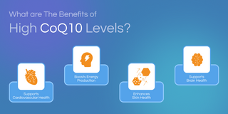 Understanding CoQ10: Benefits for Cardiovascular, Skin, and Brain Health