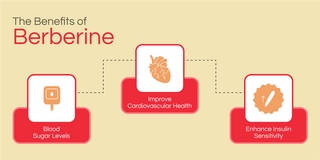 The Health Benefits of Berberine: What You Need to Know