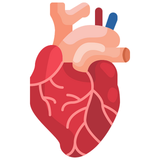 Cardiovascular Support